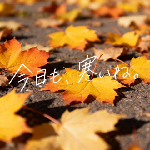 Autumn Leaves with Handwritten Japanese Text，人像与摄影，人像、城市视觉、人像与摄影，案例输出图 1