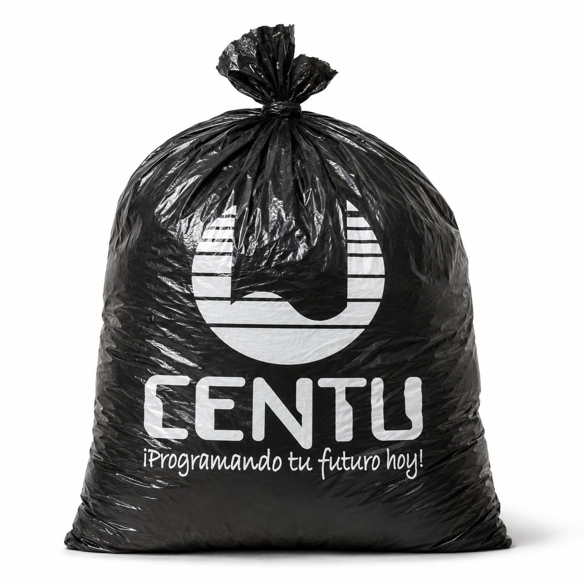 定制品牌黑色塑料袋 / Custom Branded Black Plastic Bag,UI 与社交媒体截图,UI、截图、极简,案例输出图 1