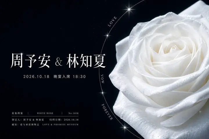 星象档案感康乃馨花束海报 / Astrological Archive Flower Shop Poster,人像与摄影,人像、海报、竖版,案例输出图 1
