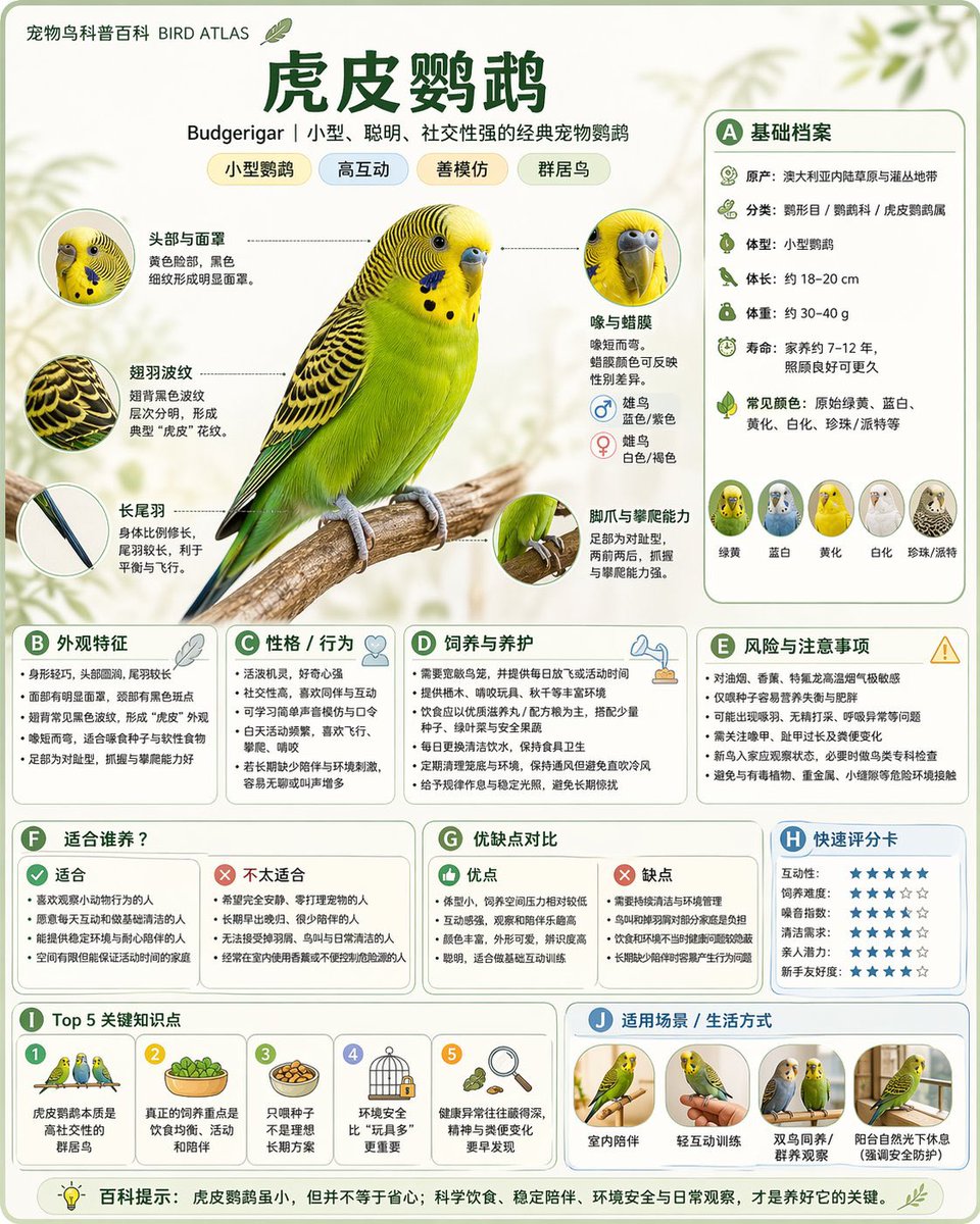 Popular Science Encyclopedia Image，模型对比与社区，海报、插画、角色，案例输出图 4
