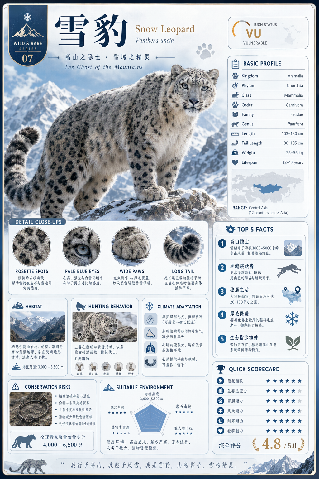 Modular encyclopedia infographic card，海报与插画，时尚、海报、插画，案例输出图 1